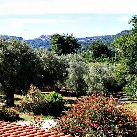 B&B Antiche Macine Licusati