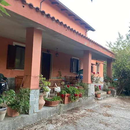 Antiche Macine Bed and breakfast Licusati