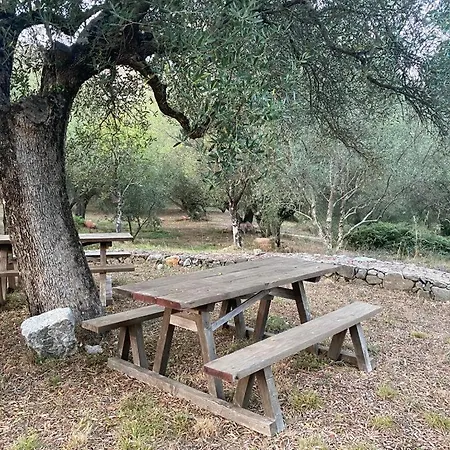 Antiche Macine B&B Licusati